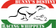 Bunnys_logo2